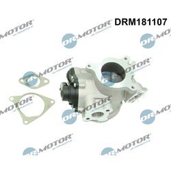 EGR ventil Dr.Motor Automotive DRM181107