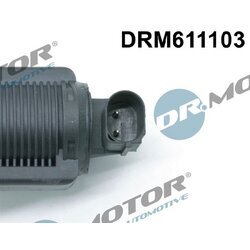 EGR ventil Dr.Motor Automotive DRM611103 - obr. 2