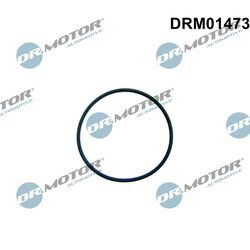 Tesnenie, Palivové čerpadlo Dr.Motor Automotive DRM01473