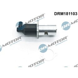 EGR ventil Dr.Motor Automotive DRM181103