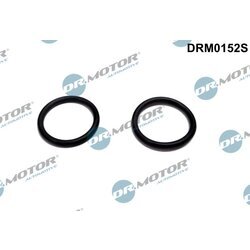 Tesnenie výhrevnej príruby pre predohrev nasávaného vzduchu Dr.Motor Automotive DRM0152S