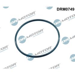 Tesnenie, EGR ventil Dr.Motor Automotive DRM0749