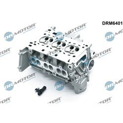 Hlava valcov motora Dr.Motor Automotive DRM6401