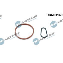 Sada tesnení, podtlaková pumpa Dr.Motor Automotive DRM01169