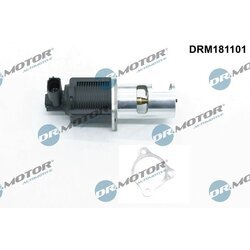 EGR ventil Dr.Motor Automotive DRM181101 - obr. 1