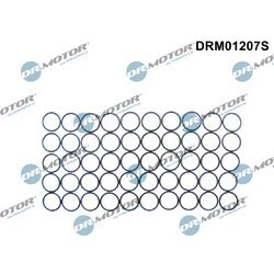 Tesniaci krúžok držiaka trysky Dr.Motor Automotive DRM01207S