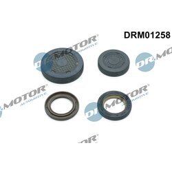 Záslepky montážnych otvorov  hriadeľa vahadla Dr.Motor Automotive DRM01258