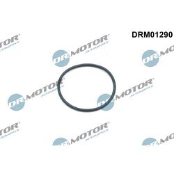 Tesniaci krúžok, napínač rozvodovej reťaze Dr.Motor Automotive DRM01290