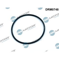 Tesnenie vákuového čerpadla Dr.Motor Automotive DRM0748