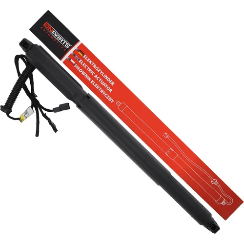 Elektrický tlmič zadných dverí EinParts EPGSA006