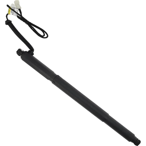 Elektrický tlmič zadných dverí EinParts EPGSA007 (EinParts Automotive) - obr. 1