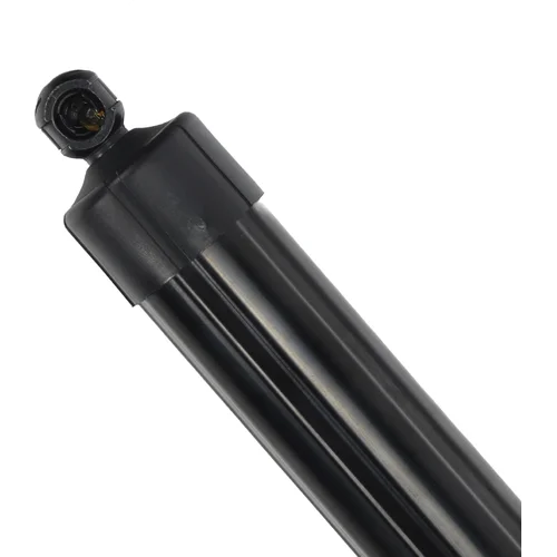 Elektrický tlmič zadných dverí EinParts EPGSA039 (EinParts Automotive) - obr. 3