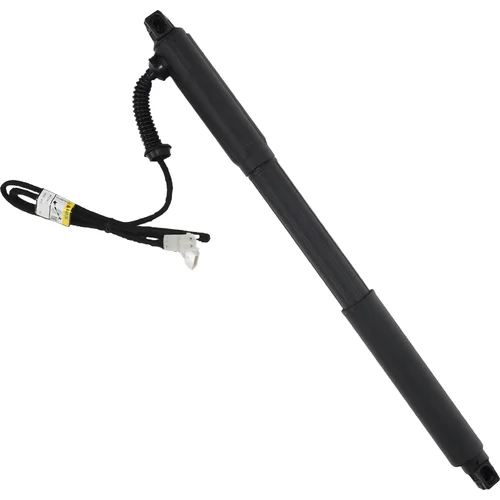 Elektrický tlmič zadných dverí EinParts EPGSA005 (EinParts Automotive) - obr. 1