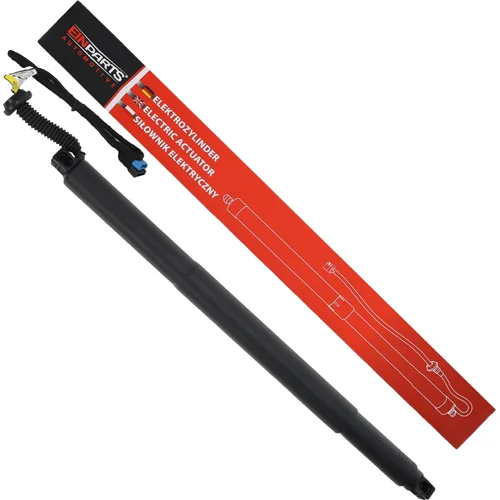 Elektrický tlmič zadných dverí EinParts EPGSA010