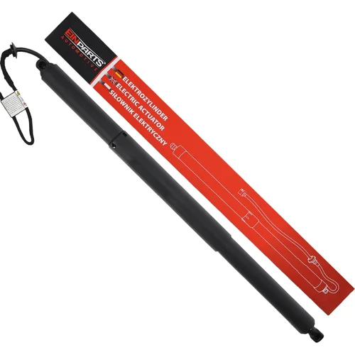 Elektrický tlmič zadných dverí EinParts EPGSA017
