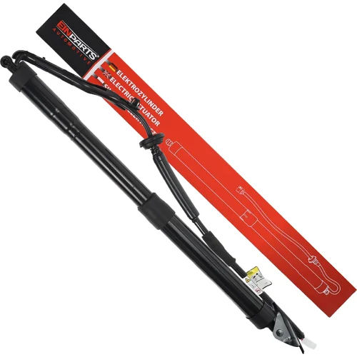 Elektrický tlmič zadných dverí EinParts EPGSA030