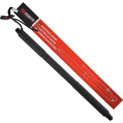 Elektrický tlmič zadných dverí EinParts EPGSA042