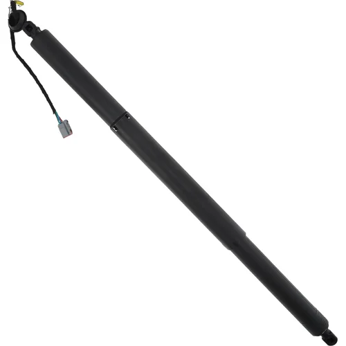 Elektrický tlmič zadných dverí EinParts EPGSA012 (EinParts Automotive) - obr. 1