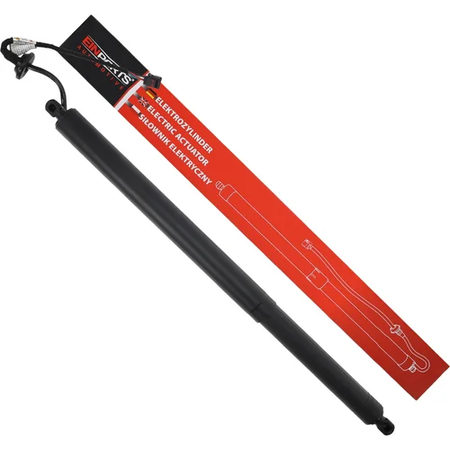 Elektrický tlmič zadných dverí EinParts EPGSA037