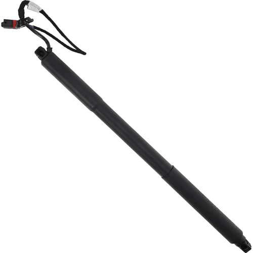 Elektrický tlmič zadných dverí EinParts EPGSA042 (EinParts Automotive) - obr. 1