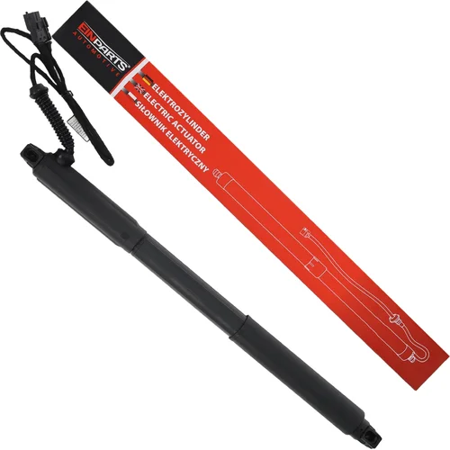 Elektrický tlmič zadných dverí EinParts EPGSA004 (EinParts Automotive)