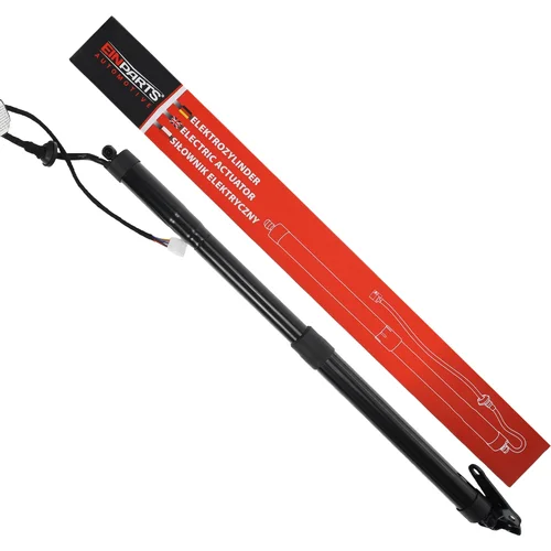 Elektrický tlmič zadných dverí EinParts EPGSA013 (EinParts Automotive)