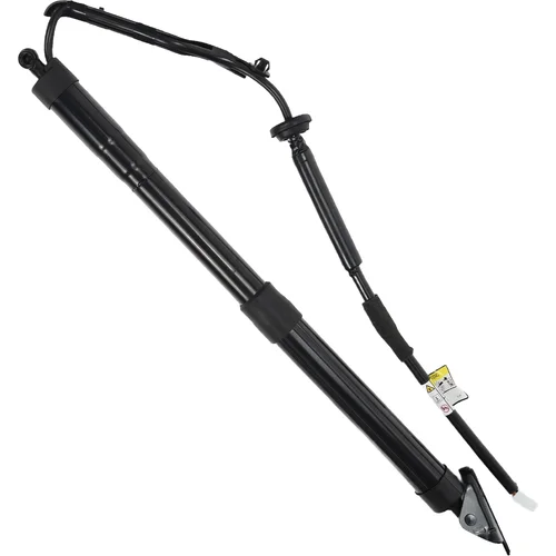 Elektrický tlmič zadných dverí EinParts EPGSA030 (EinParts Automotive) - obr. 1