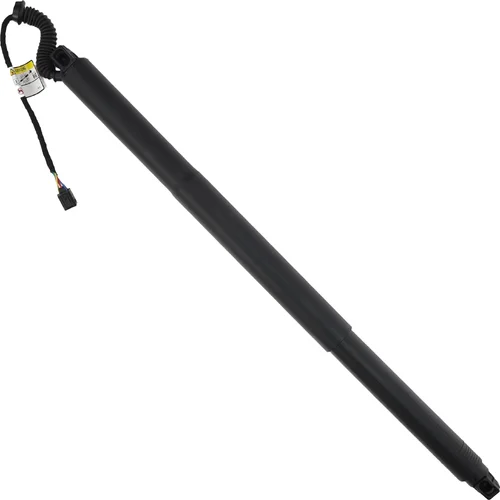 Elektrický tlmič zadných dverí EinParts EPGSA021 (EinParts Automotive) - obr. 1