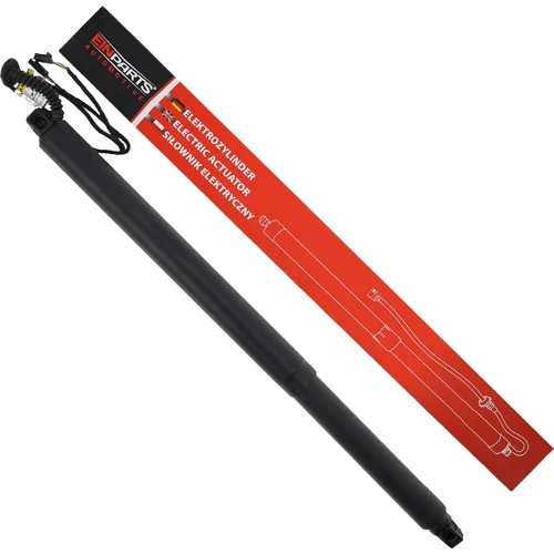 Elektrický tlmič zadných dverí EinParts EPGSA026