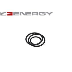Palivové čerpadlo ENERGY G10029 - obr. 1
