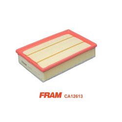 Vzduchový filter FRAM CA12613