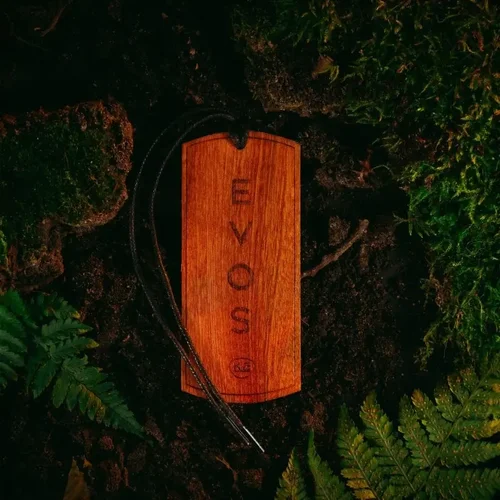 Evos hunter /K2/ - obr. 2