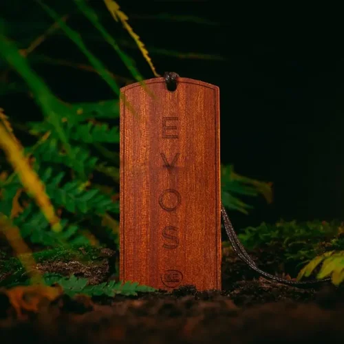 Evos hunter /K2/ - obr. 3