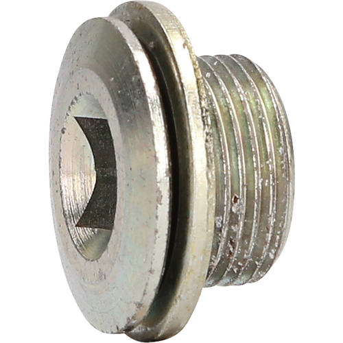 Vypúšťacia skrutka oleja M22 x 1,5 x 17 mm pre DAF