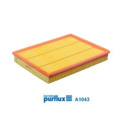 Vzduchový filter PURFLUX A1043