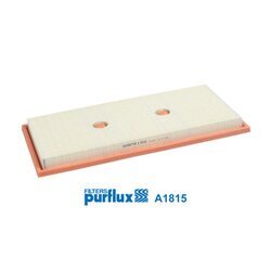 Vzduchový filter PURFLUX A1815