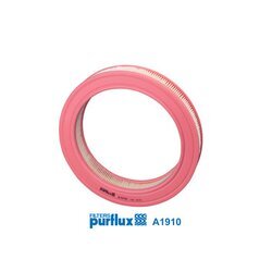 Vzduchový filter PURFLUX A1910