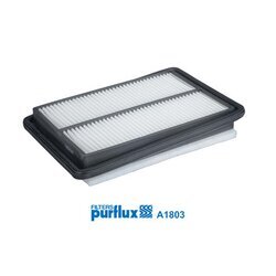 Vzduchový filter PURFLUX A1803