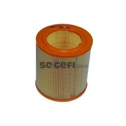 Vzduchový filter PURFLUX A818