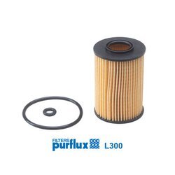 Olejový filter PURFLUX L300