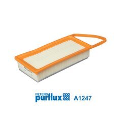 Vzduchový filter PURFLUX A1247