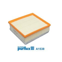 Vzduchový filter PURFLUX A1538