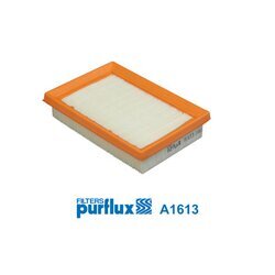 Vzduchový filter PURFLUX A1613