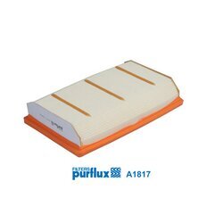 Vzduchový filter PURFLUX A1817