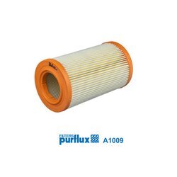Vzduchový filter PURFLUX A1009
