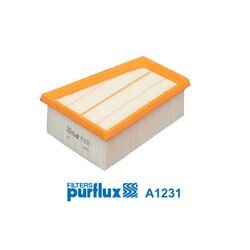 Vzduchový filter PURFLUX A1231
