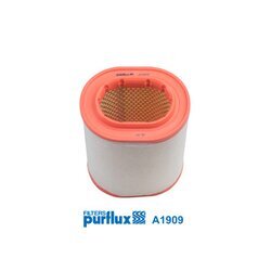 Vzduchový filter PURFLUX A1909