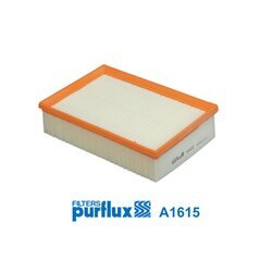 Vzduchový filter PURFLUX A1615