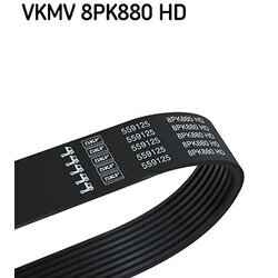 Ozubený klinový remeň SKF VKMV 8PK880 HD