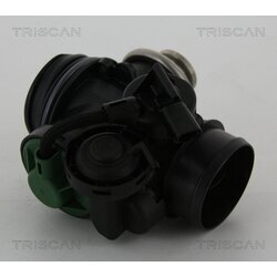 EGR ventil TRISCAN 8813 15056